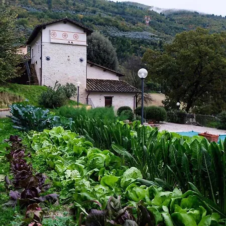Agriturismo Poggio Delle Rocche Bauernhof Ferentillo